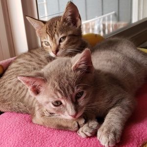 Meet your Posher, Jeri